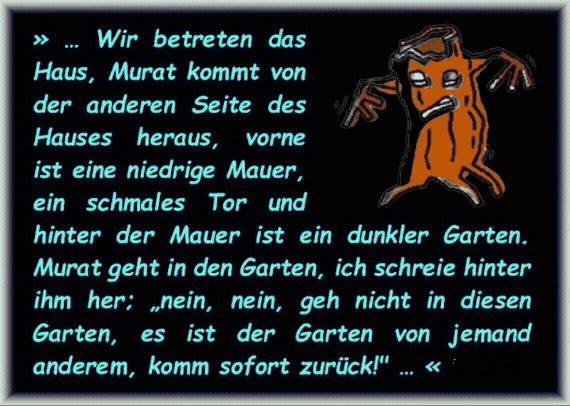 Wir betreten das Haus, Murat kommt von der anderen Seite des Hauses heraus, vorne ist eine niedrige Mauer, ein schmales Tor und hinter der Mauer ist ein dunkler Garten. Murat geht in den Garten, ich schreie hinter ihm her; �nein, nein, geh nicht in diesen Garten, es ist der Garten von jemand anderem, komm sofort zur�ck!" 
