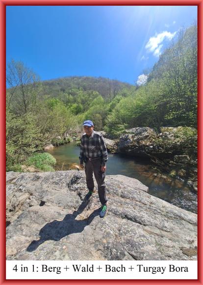 4 in 1: Berg + Wald + Bach + Turgay Bora: Die Radios der N�chte