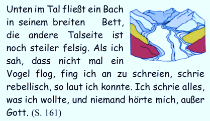 Unten im Tal fliet ein Bach in seinem breiten    Bett, die andere Talseite ist noch steiler felsig. Als ich sah, dass nicht mal ein Vogel flog, fing ich an zu schreien, schrie rebellisch, so laut ich konnte. Ich schrie alles, was ich wollte, und niemand hrte mich, auer Gott. 