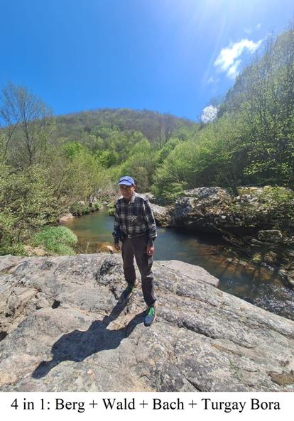 4 in 1: Berg + Wald + Bach + Turgay Bora: Die Radios der Nchte